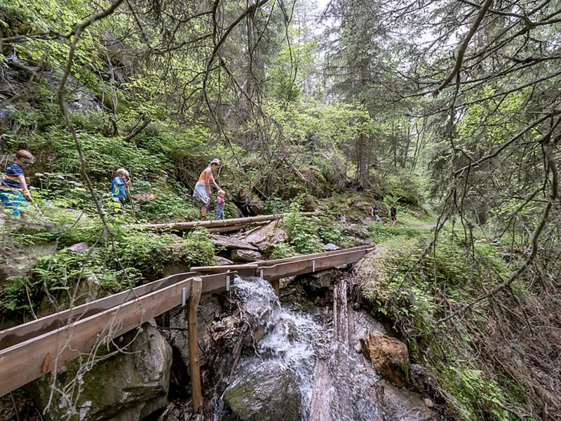 Familie beim Wandern auf einem Waldweg